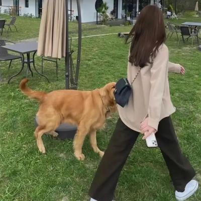 盲侠千里救孤儿